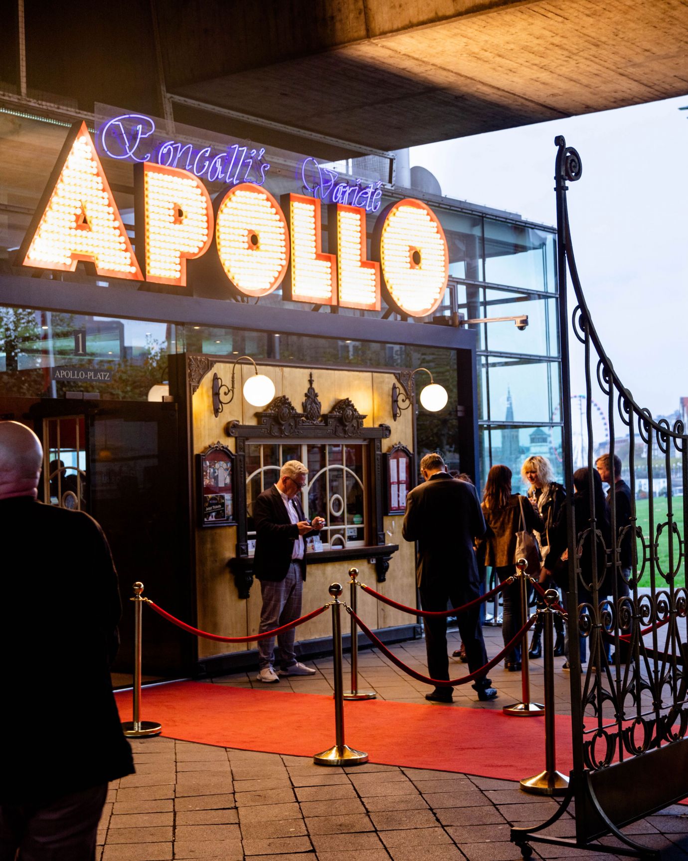 Apollo-Lemonpie-10